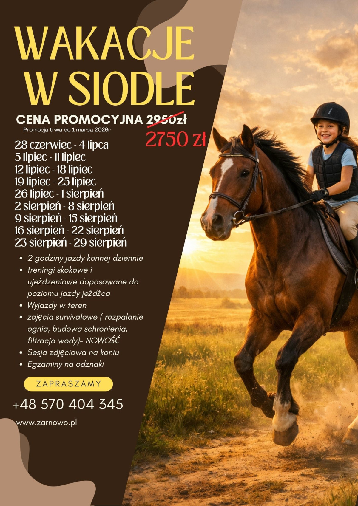 news wakacje w siodle 2026 plakat